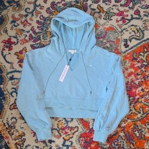 For Love & Lemons 🍋  Cropped Hoodie